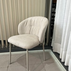 Silla Darwin