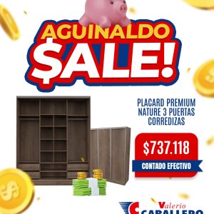 Placard Premium Nature 3 Puertas Corredizas