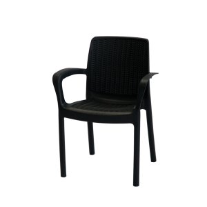 Silla Guinea