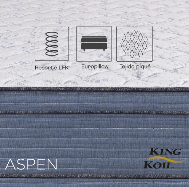 Aspen-GraficaparaInstagramyFacebook-20211102-112026 (1)