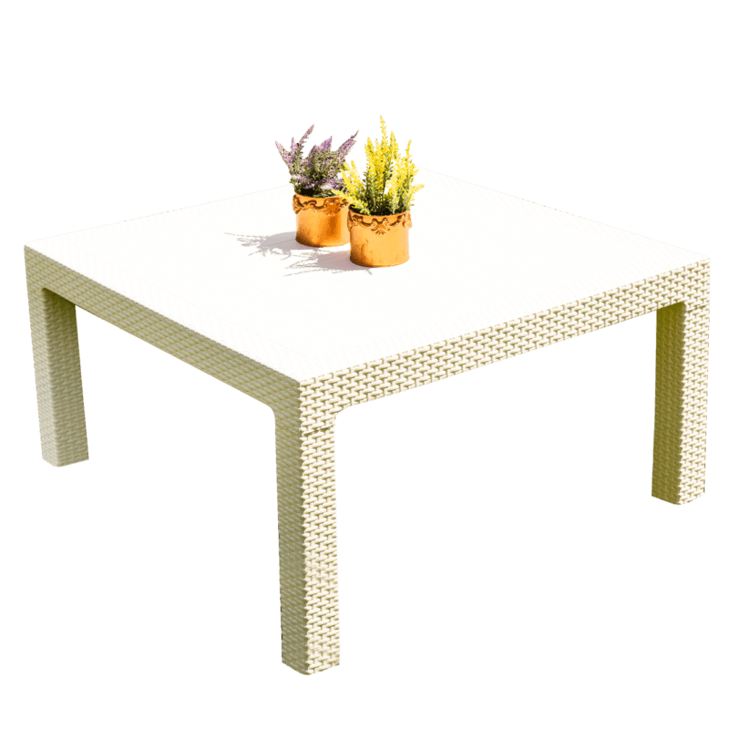 Baru_Blanca-800x800-1.png